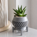 Mini Vaso Geométrico Cachepô Decorativo 3D Com Suporte Para Suculentas